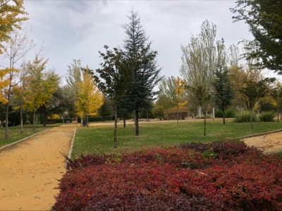 Encarna Angosto Trillo