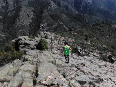 Miguel Angel Tapia Zarza