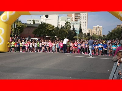 francisco javier  rodriguez santana 