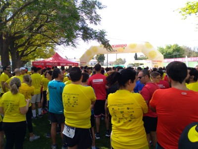 Francisco  Asensio Rodriguez 