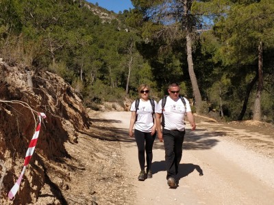 Rafa Hernandez Domenech