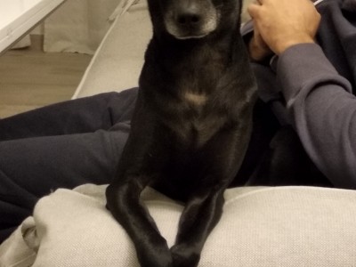 JESUS MANUEL PEINADO GUTIERREZ