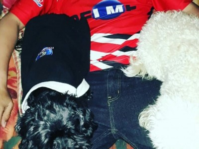 mauricio alejandro guerrero uribe