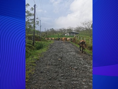 Franklin  Vargas Monge