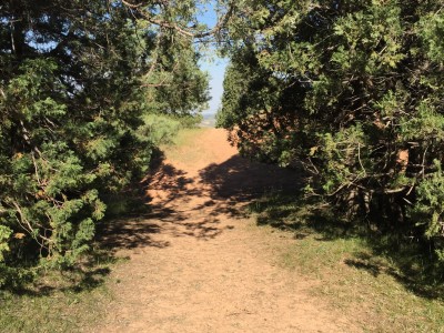 Тимур Джангиров