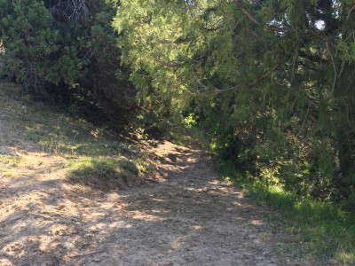 Тимур Джангиров