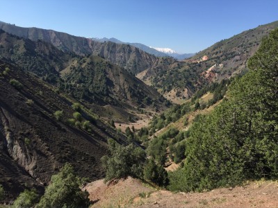 Тимур Джангиров