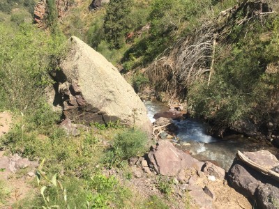 Тимур Джангиров