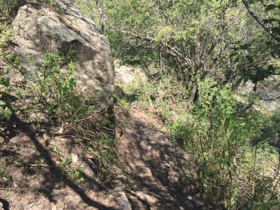 Тимур Джангиров