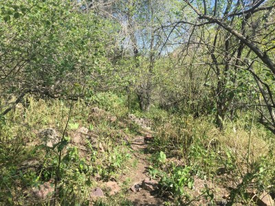 Тимур Джангиров