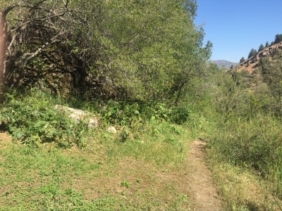 Тимур Джангиров