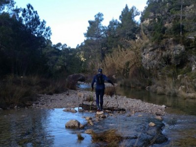 Alfonso Bernal Laynez