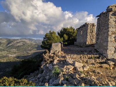 Alfonso Bernal Laynez