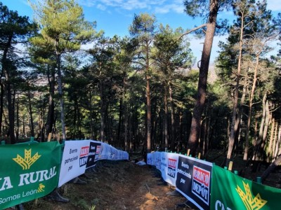 Pablo Regaliza Castillo