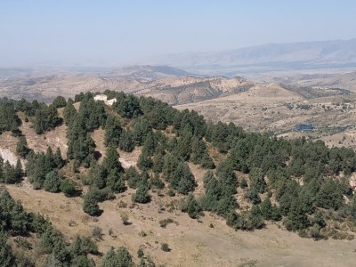 Ильес Бабаханов