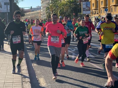 Salvador N Torregrosa Alcayde