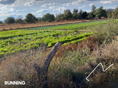 Jezabel Agripina Bernal Morales