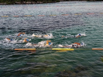 Alejandro Gomez Sánchez 