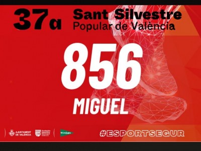 Miguel  Perez Sánchez 