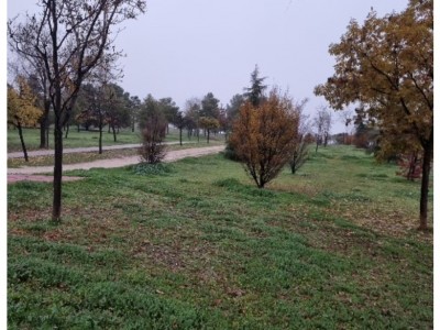 Enrique Madrid González