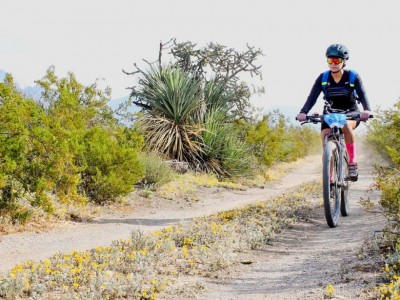 Régulo Barbosa Muñiz
