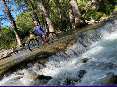 Régulo Barbosa Muñiz