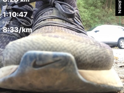 Pedro Contreras Rodríguez 