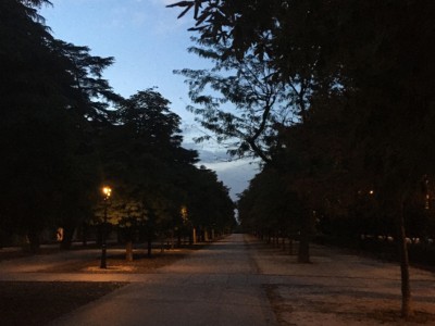 José Luis Bedmar de Mingo