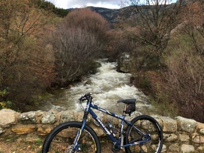 Susana  rivas morales