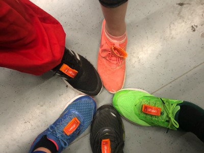 Vermeersch  François