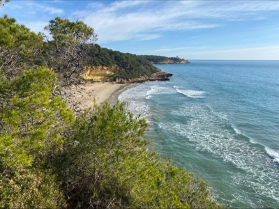 Jordi Abella Redondo