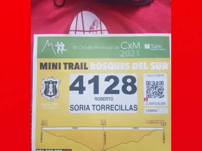 Roberto Soria Torrecillas 