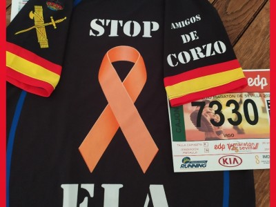 Francisco Vigo del Pino