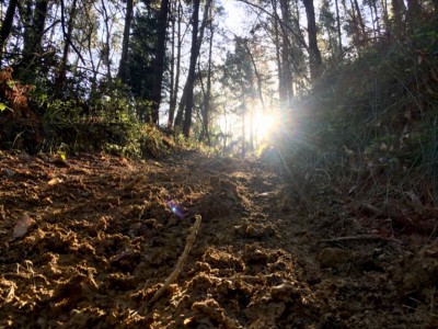 Pablo Riego Rodriguez