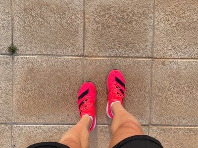 Javier García Mayayo