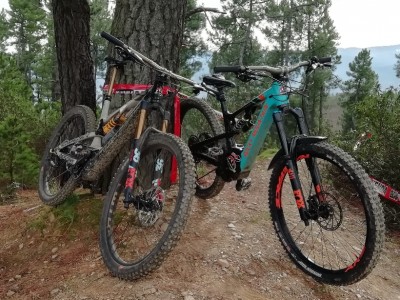 Israel  Melgar Ramírez 