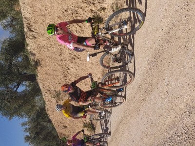 José Carlos  Sánchez peralvarez