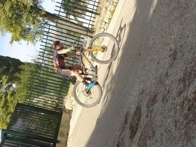 José Carlos  Sánchez peralvarez