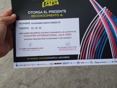 Sandra Leal Oswaldo’s Team