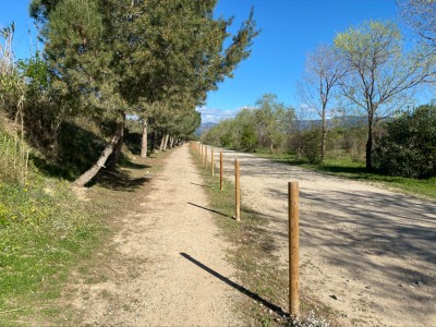 Jose Manuel Faulo Monterde