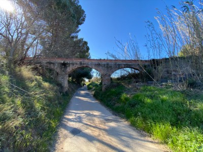 Jose Manuel Faulo Monterde