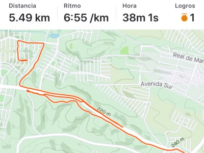 rosa maria del angel de la luz