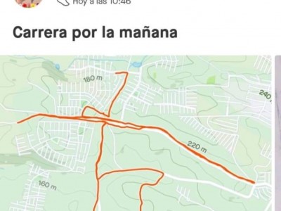 rosa maria del angel de la luz