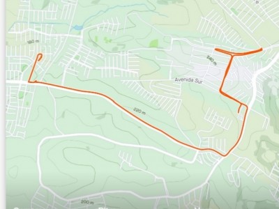 rosa maria del angel de la luz