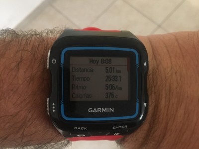 bruno  guerrero roji