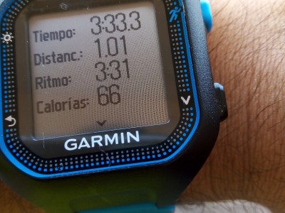 Andrés  Lozano Morales