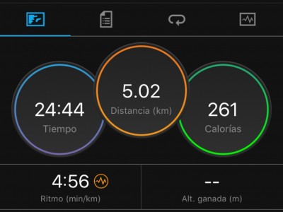 Norma Angélica  Mota Alvarez