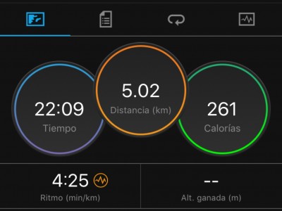 Norma Angélica  Mota Alvarez