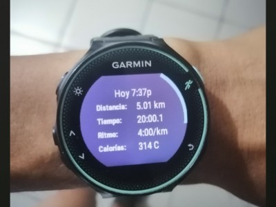 Alexis Alan Hernández Treviño 