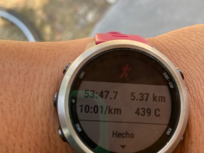 Dania Yanet  Nájera Guevara 